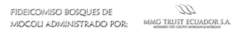 fideicomiso